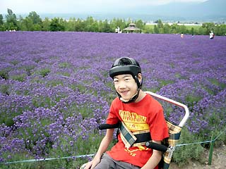 写真