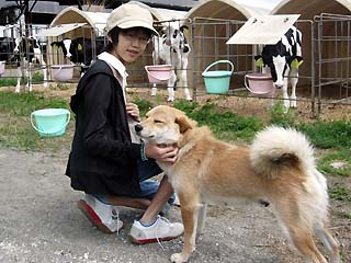 写真
