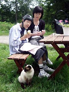 写真
